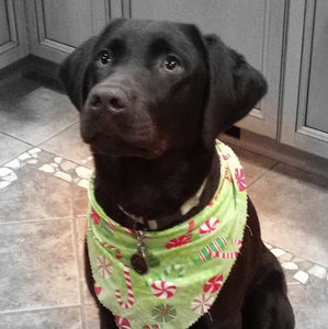 Meet your Posher, Tara